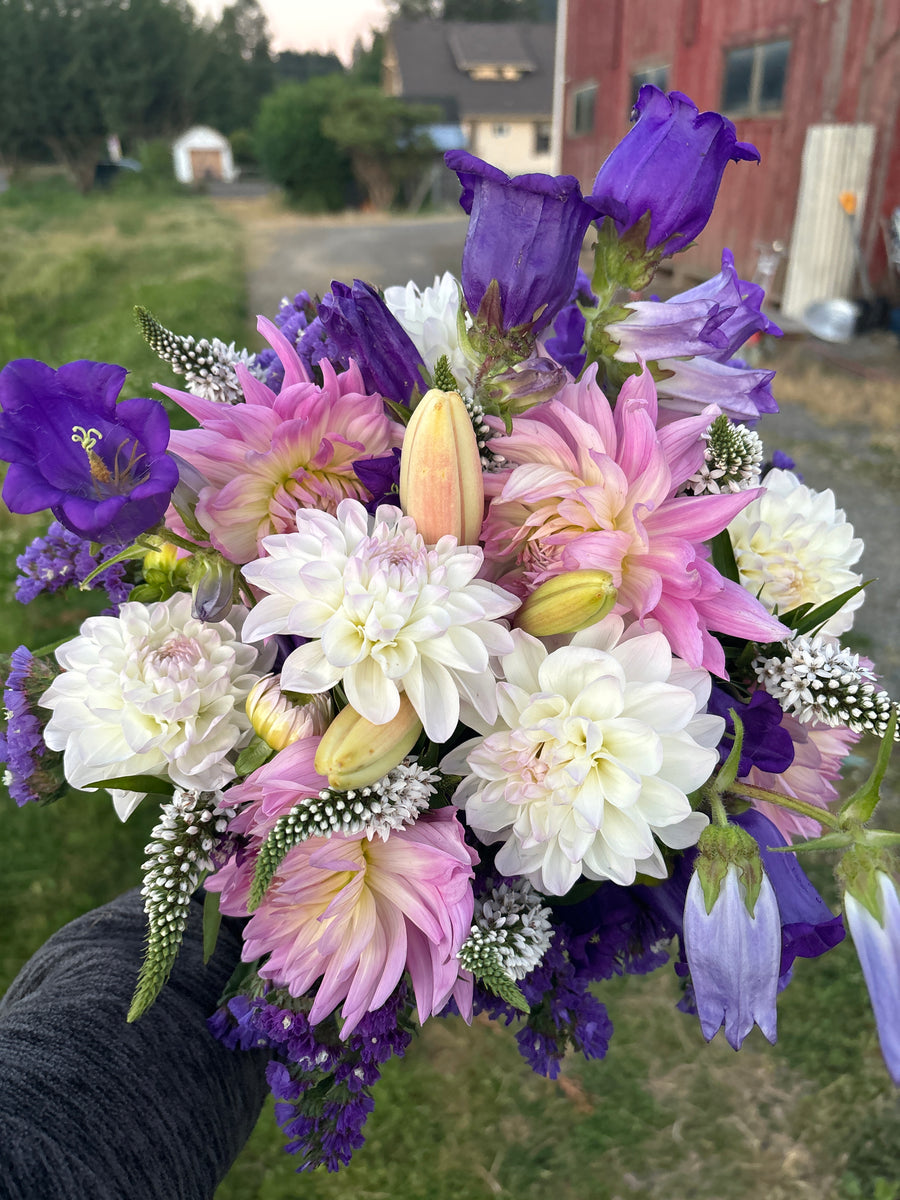 Flower farm photo 14