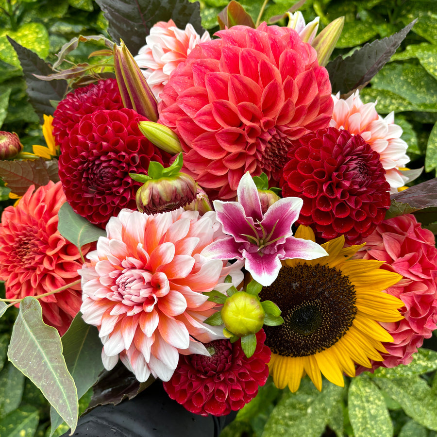 Flower farm photo 15
