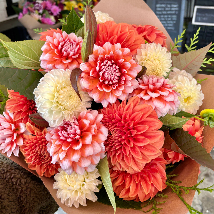 Flower farm photo 13