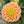 Peach Yellow Apricot (unnamed)