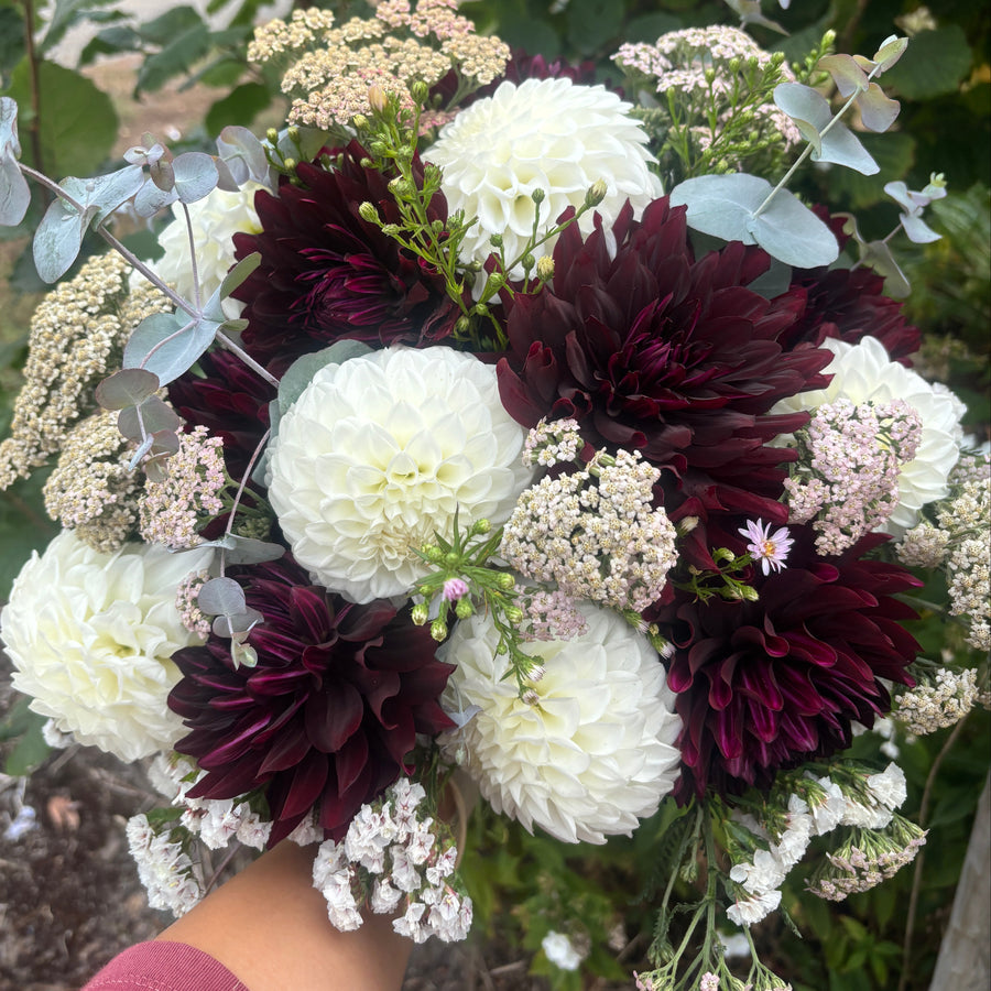 Flower farm photo 1