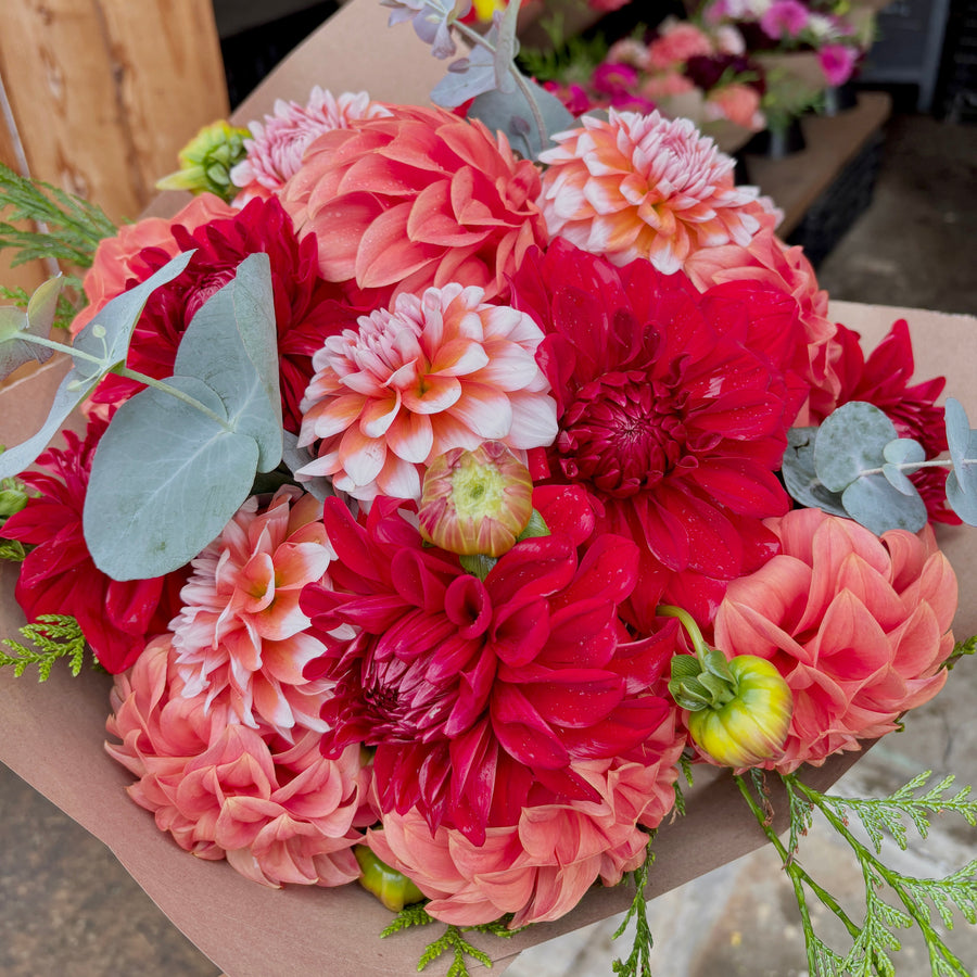 Flower farm photo 2