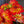Aloha image 0